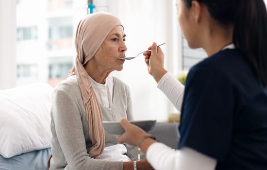 Provide Palliative Care Services