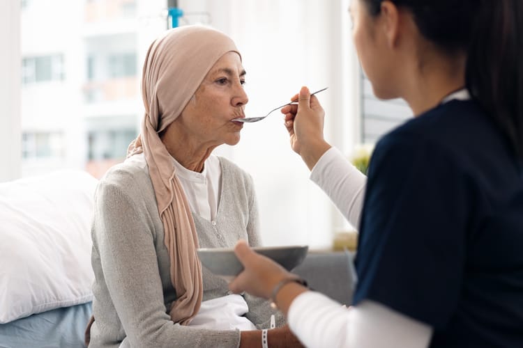 Provide Palliative Care Services